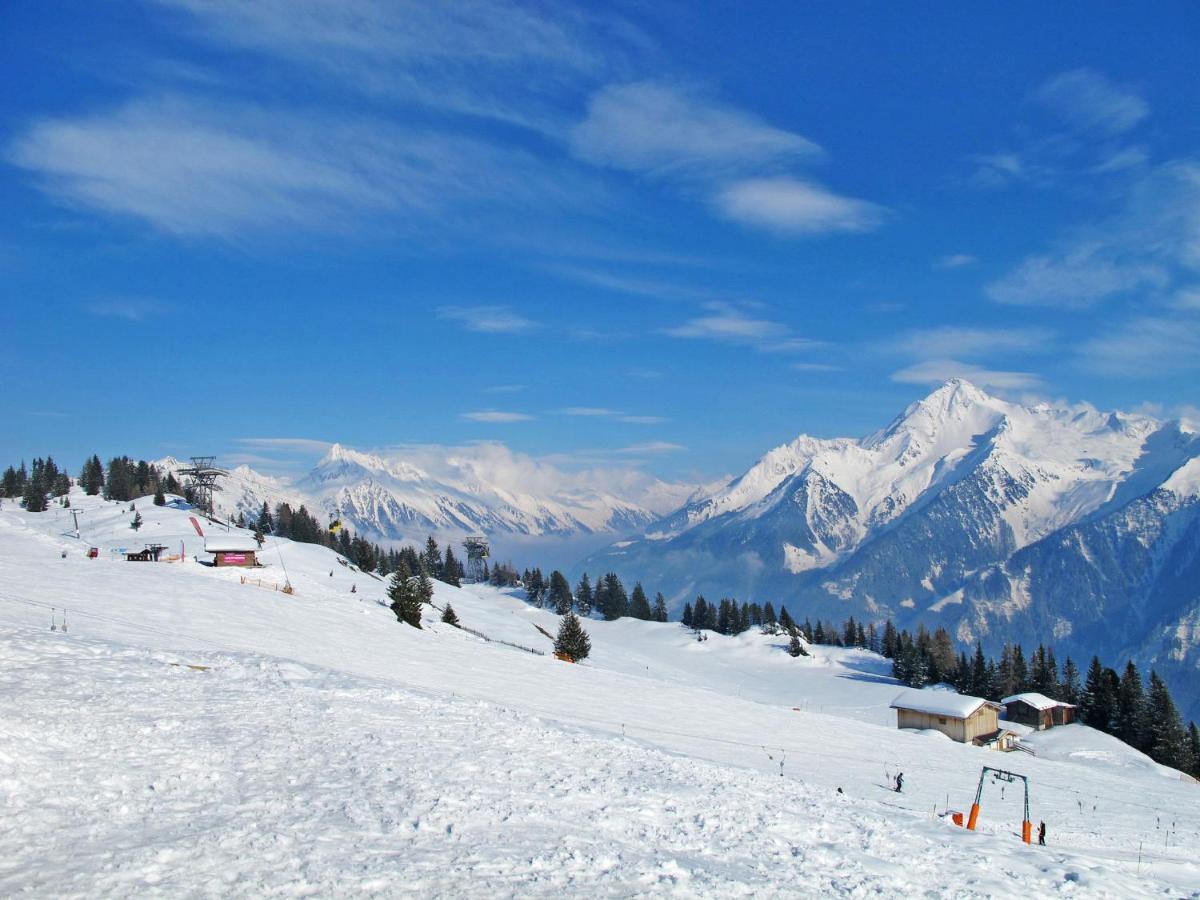 Wegscheider - Mho328 * Mayrhofen